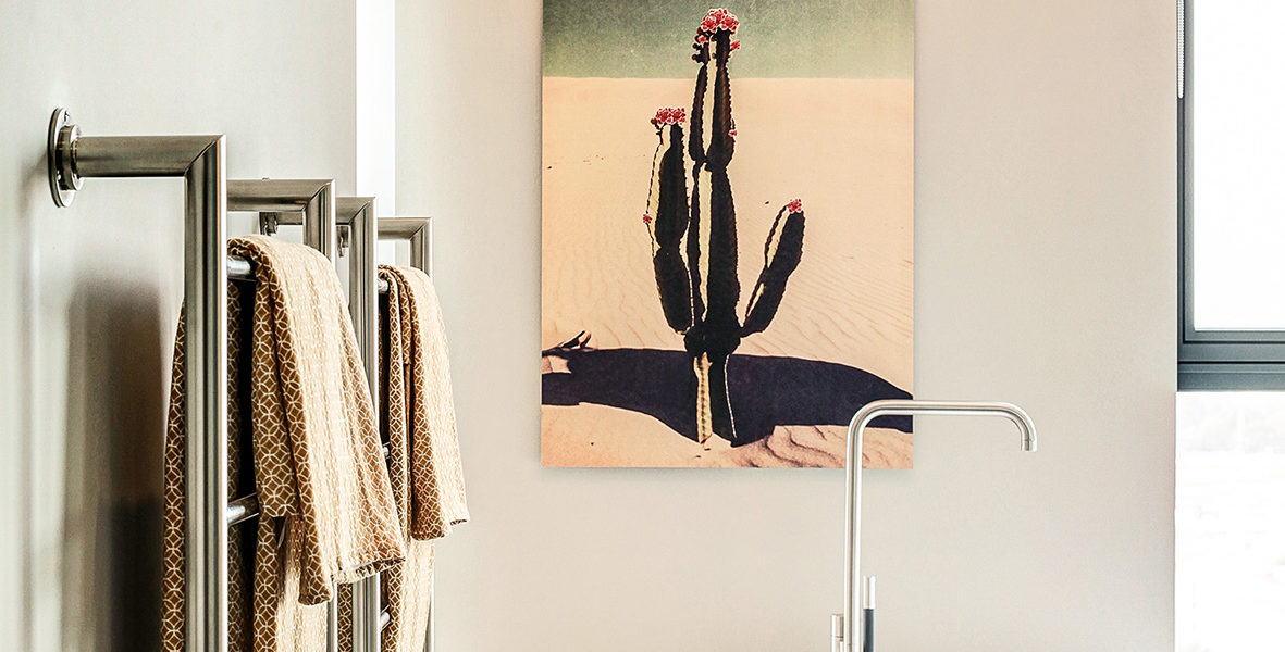 Cactus bloom / cover