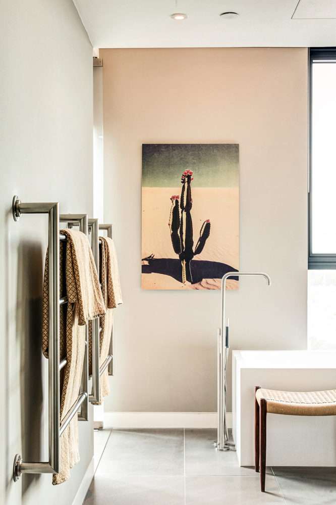 Cactus bloom / cover