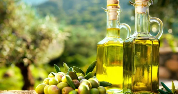 ελαιόλαδο/ cover foto