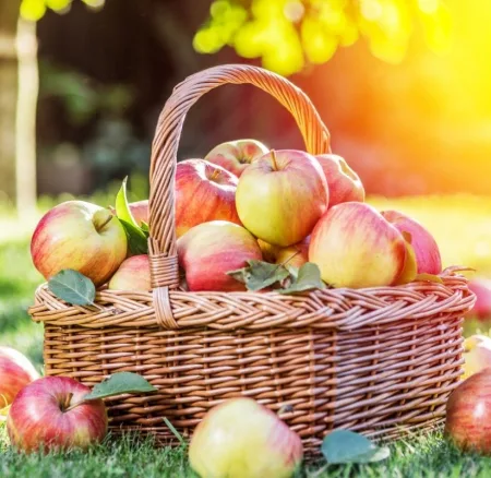 Βάλε τα μήλα στη διατροφή σου και μάθε το γιατί