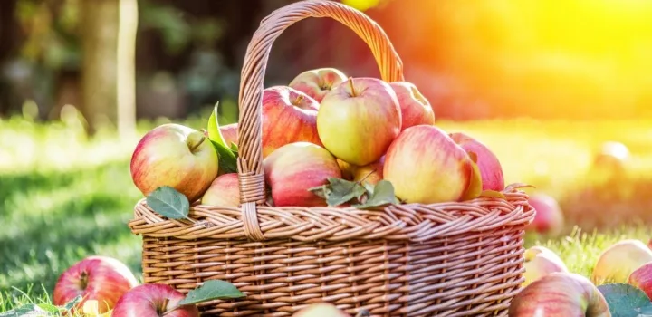 Βάλε τα μήλα στη διατροφή σου και μάθε το γιατί
