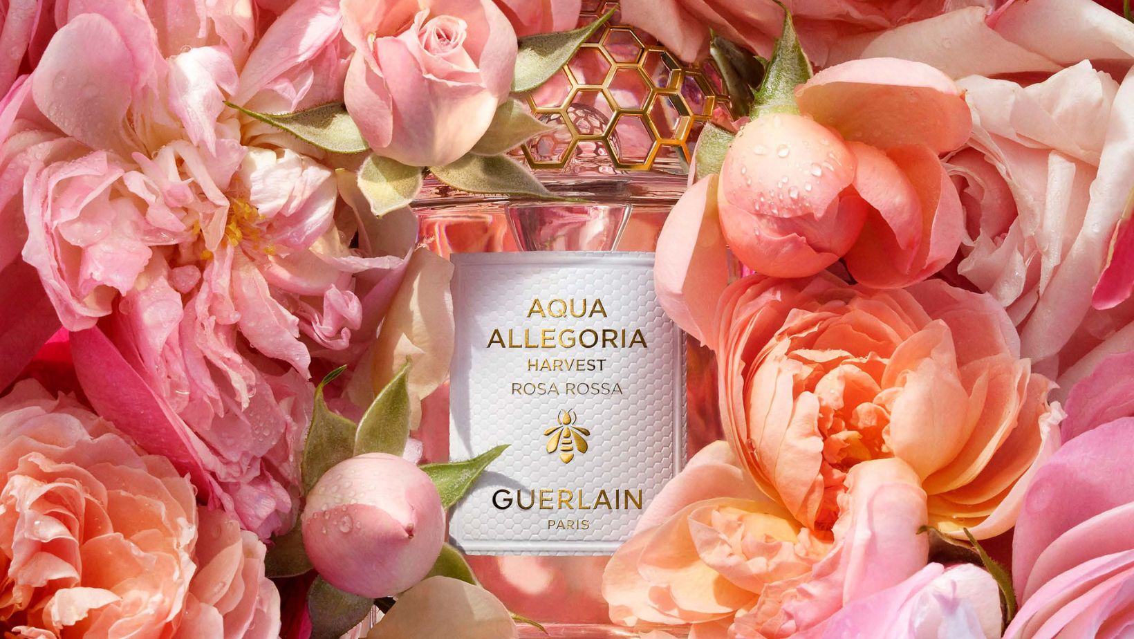 Guerlain Aqua Allegoria Harvest Rosa Rossa • MadameLeFo