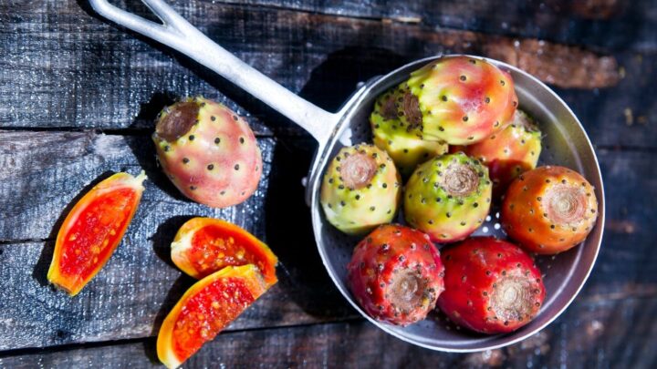 παπουτσόσυκα