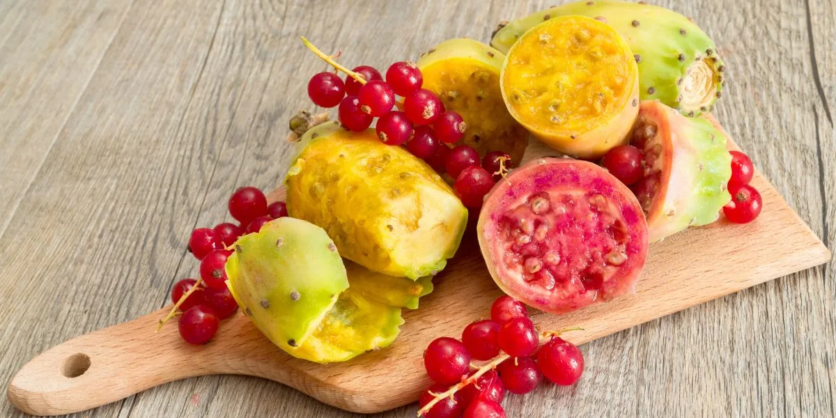 Φραγκόσυκα/Παπουτσόσυκα/ cover foto