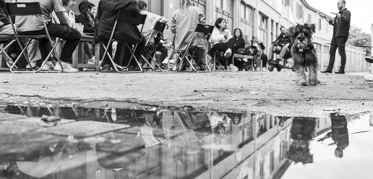 «ΣπουδάΖΩ τη Λευκωσία»/cover