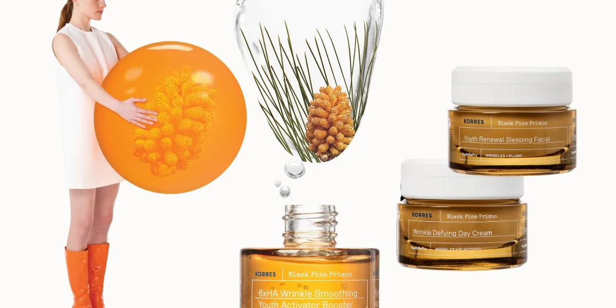 KORRES Black Pine Primus/ cover