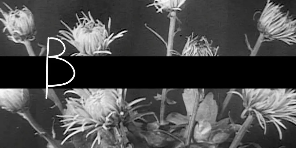 “β” του Άντη Σκορδή/ cover