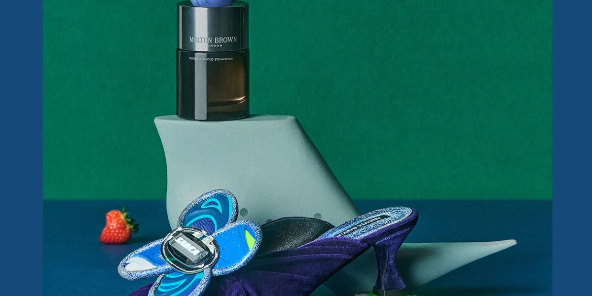 Bluebell & Wild Strawberry/ cover