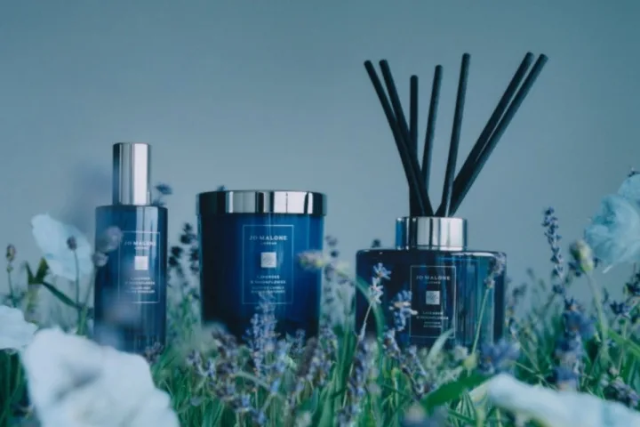 Night Collection /cover