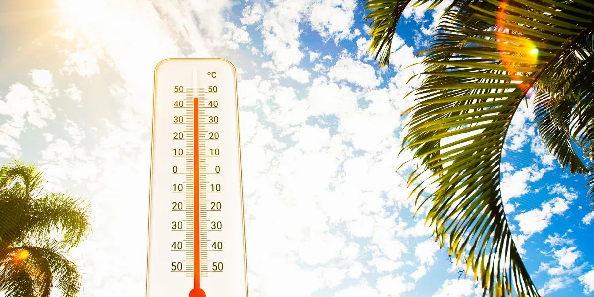 καύσωνας /cover foto