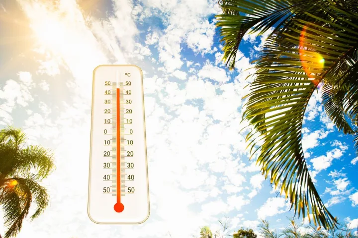 καύσωνας /cover foto