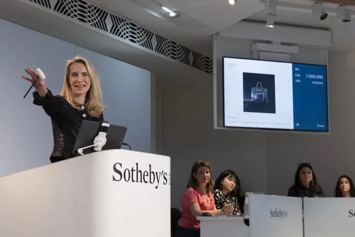 Birkin Bag/ cover foto