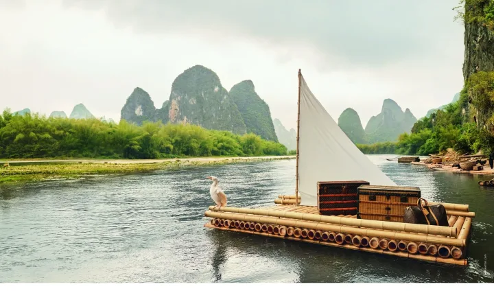 Louis Vuitton x Alec Soth/ cover