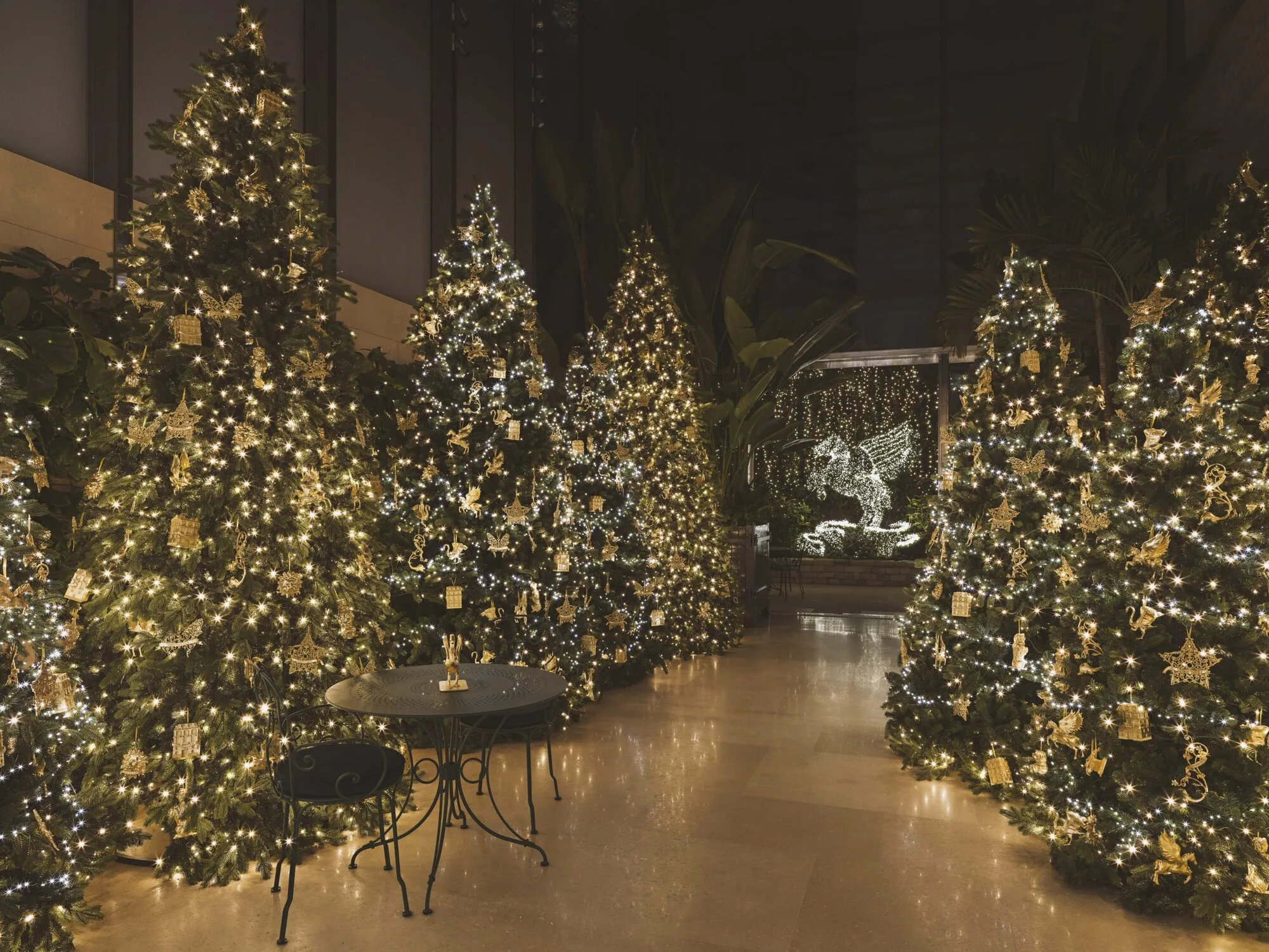 Νο30 της Avenue Montaigne 7