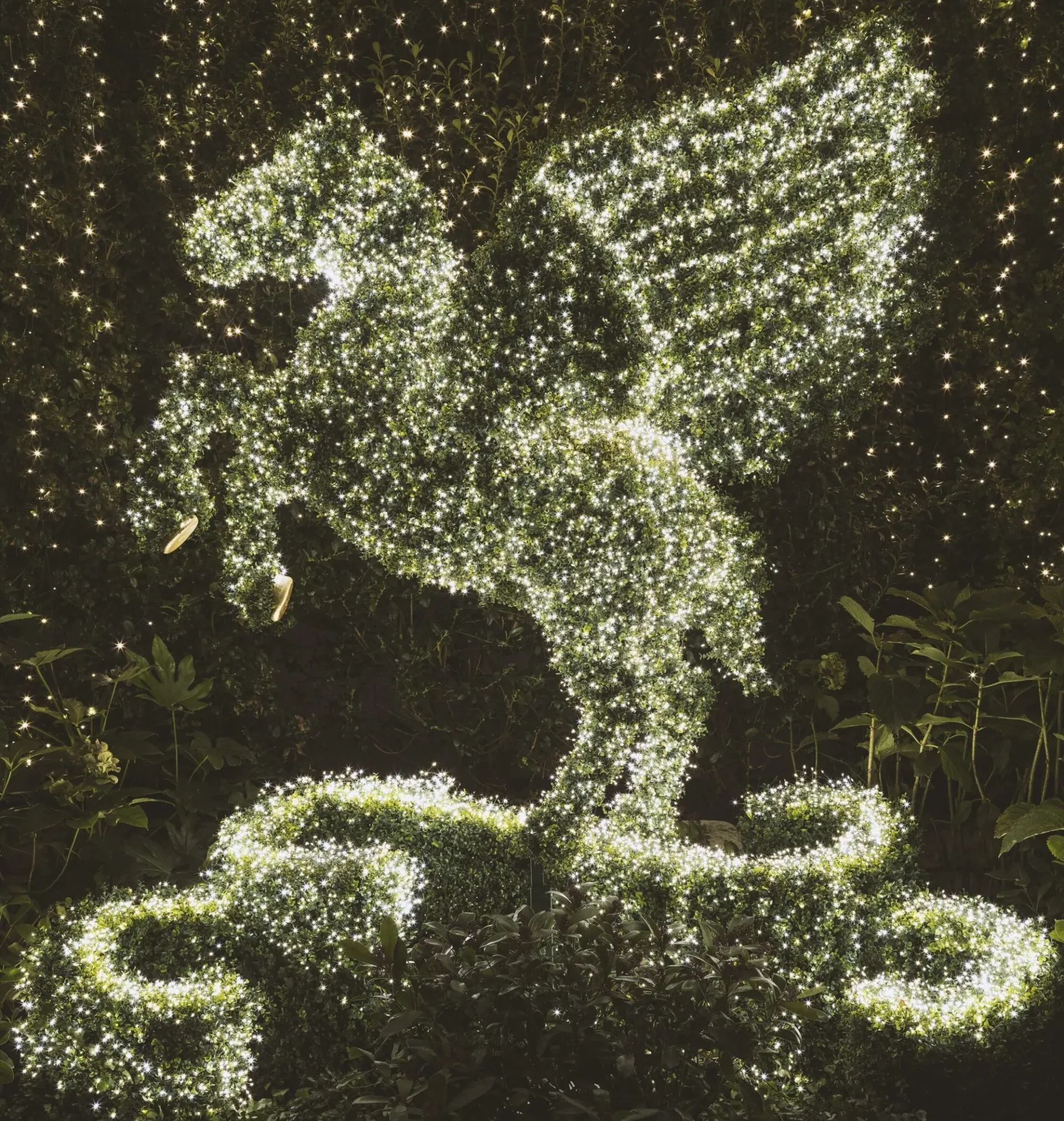 Χρονιά του Πύρινου Αλόγου 2026 1