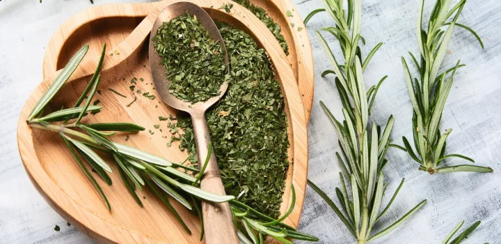 Δενδρολίβανο: Το βότανο ευεξίας που τονώνει σώμα και μυαλό