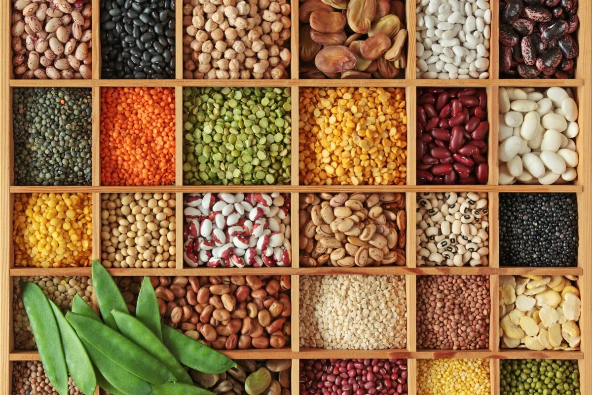 Διατροφή για πρόληψη του καρκίνου 3