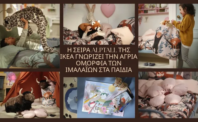 ALPTALL/ cover photo