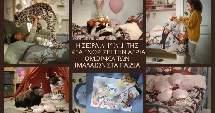 ALPTALL/ cover photo